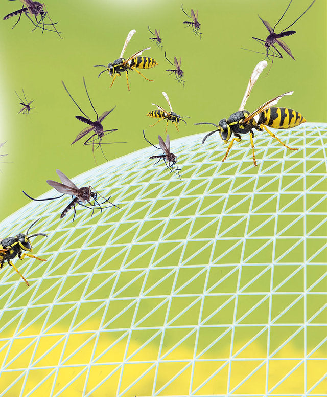 REPELENTE INSECTOS NATURAL