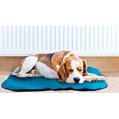 Cama mascota impermeable