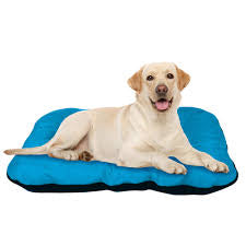 Cama mascota impermeable