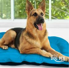 Cama mascota impermeable